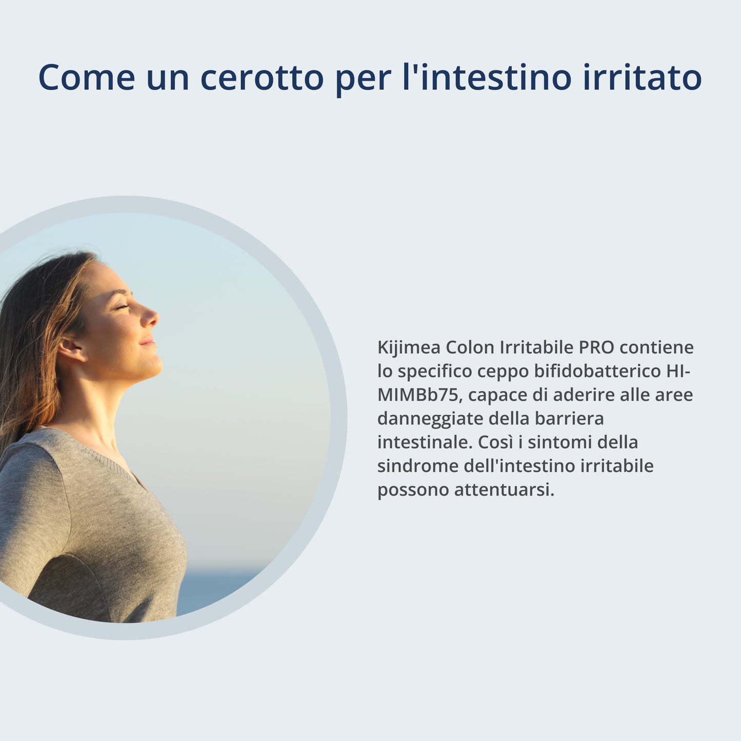 Illustrazione dei experti