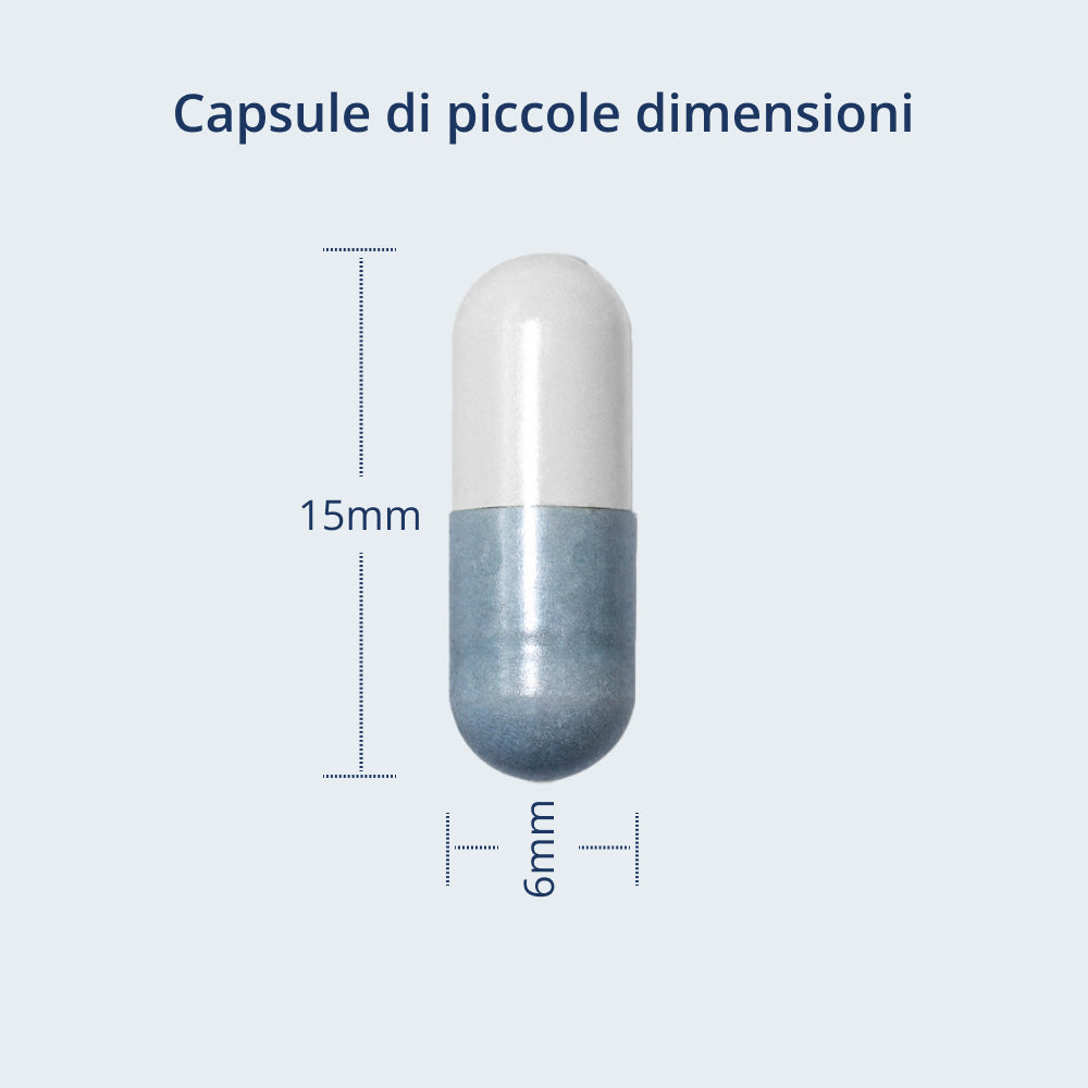 Illustrazione delle dimensioni della capsula