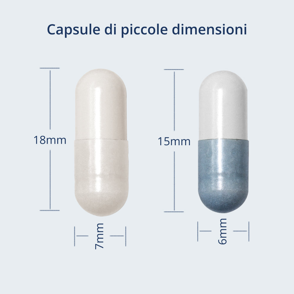 Illustrazione Dimensione della capsula
