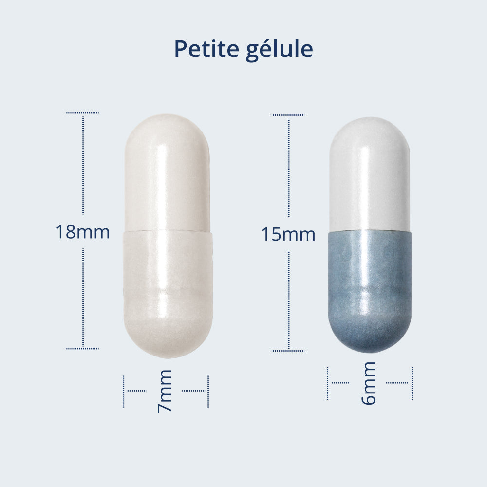 Illustration Taille de la capsule