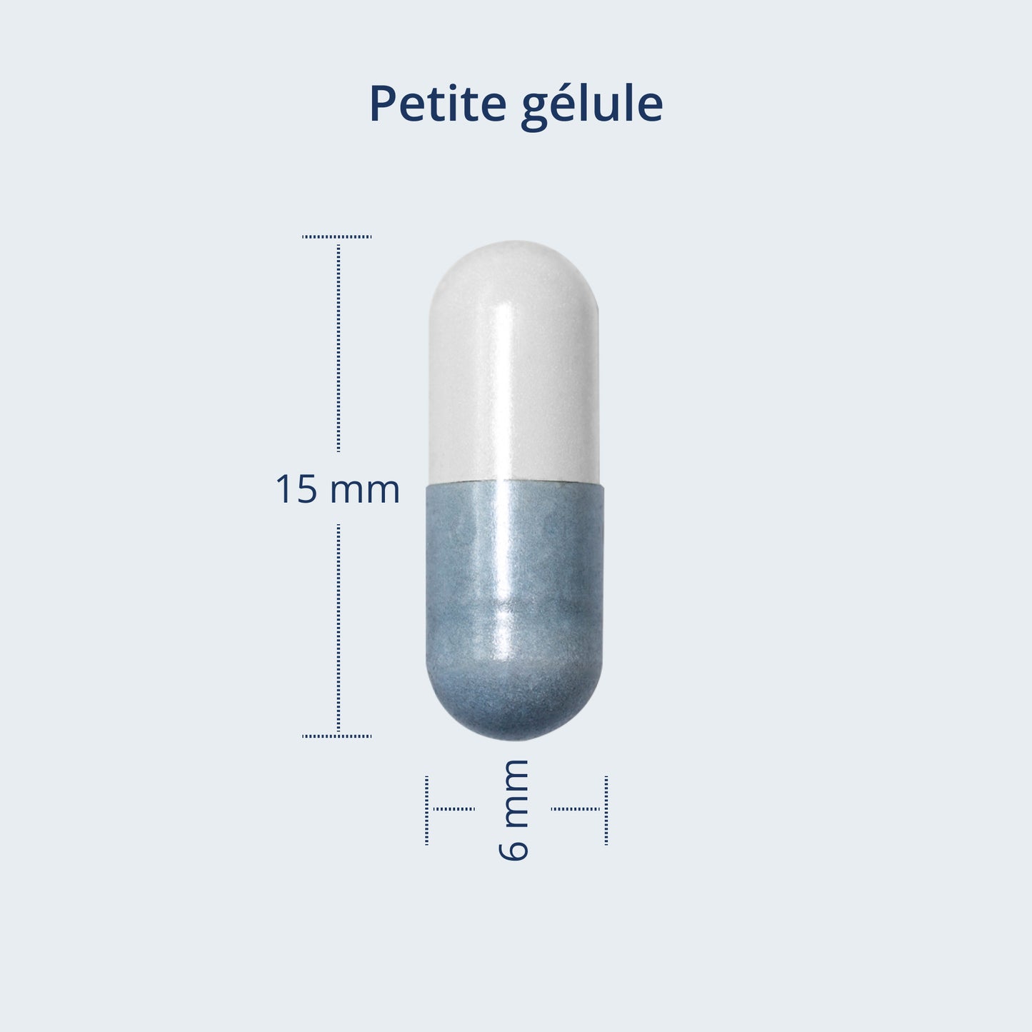 Illustration de la taille des capsules