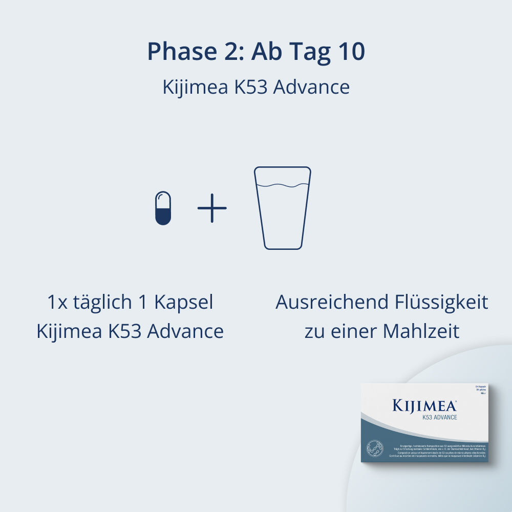 Abbildung Phase 2