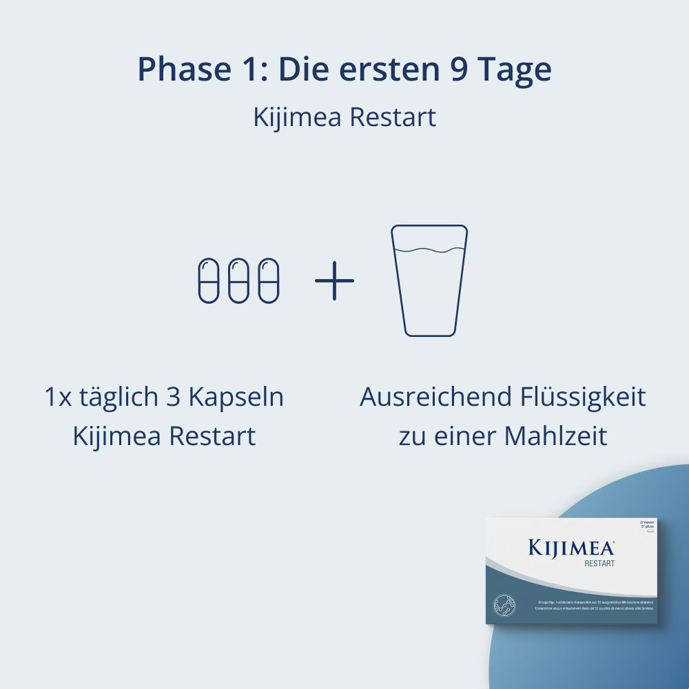 Abbildung Phase 1