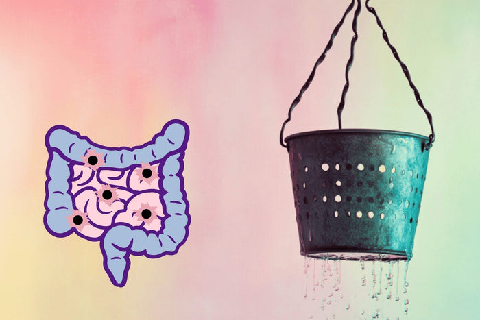 Was ist Leaky Gut Syndrom: Der durchlässige Darm - Geschädigte Darmbarriere