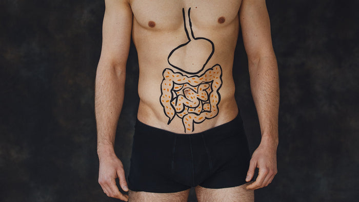 Eine gesunde Darmflora aufbauen: Wie Sie Ihre Darmflora unterstützen und so unter anderem Ihr Immunsystem stärken