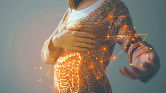 Die 3 Schichten des Darms